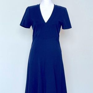 Derek Lam Navy Blue Fit & Flare Dress